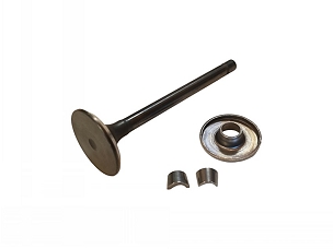 843752 - VALVE, EXHAUST - EFI - BRIGGS